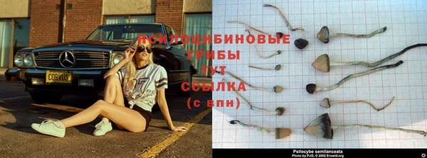 спайс Нефтегорск